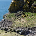DSC07383